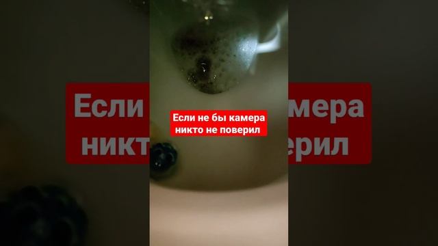#нассал #толчок #туалет #рекомендации
