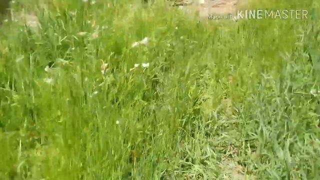 Пмк 42 с.Ивановское||(проверка на прочность)||