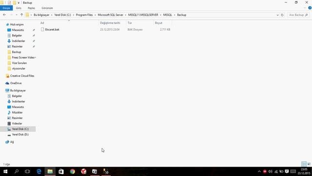 Veri Tabanı Sql Server Yedek Alma ve Yedeği Geri Yükleme