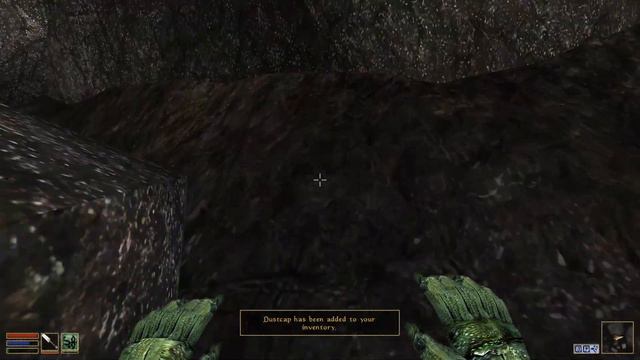Morrowind: seeing a lesser shulk and returning to Arkngthand; nonbinary playthrough part 34