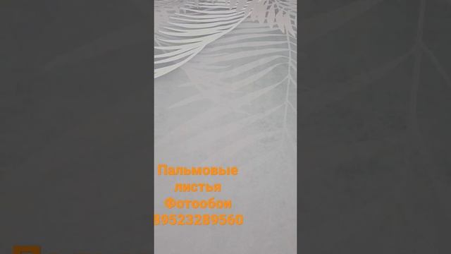 фотообои пальмовые листья на светлом Ceром фоне, перья(строительство и ремонт)
