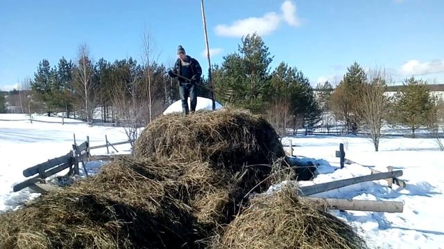Тоскаем сено на сеновал. Жизнь в деревне