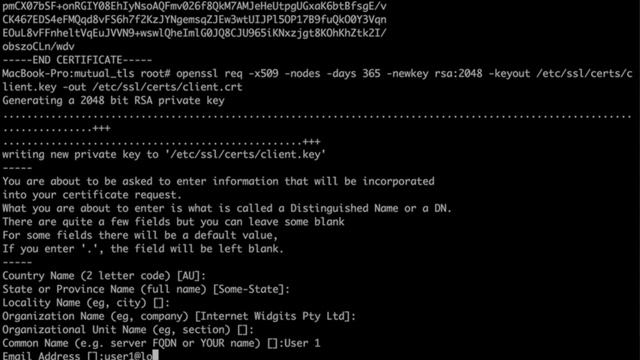 Intro to Mutual TLS