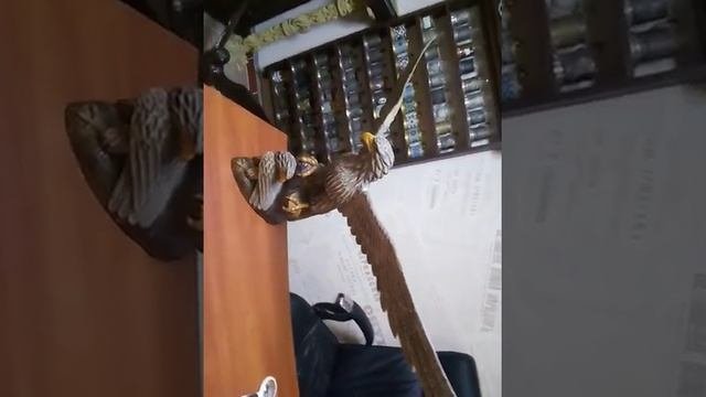 Топор разбойника! Кондратовский!