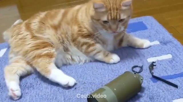 аааааа ослепили