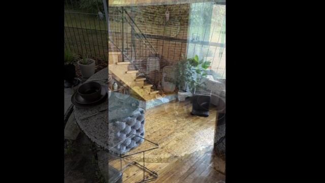 Barb alligator big gulp