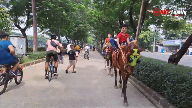Naik Kuda dan Badut Cijantung 🐴 Lagu Naik Delman Remix Terbaru | Kuda Renggong | Horses - Kuda