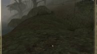 Morrowind Money cheat