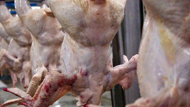Белоруссия приостановила экспорт мяса курицы и молочной продукции в Россию