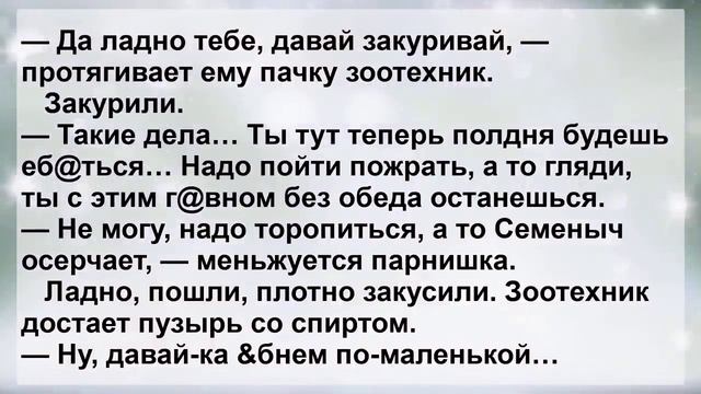 Анекдоты 120