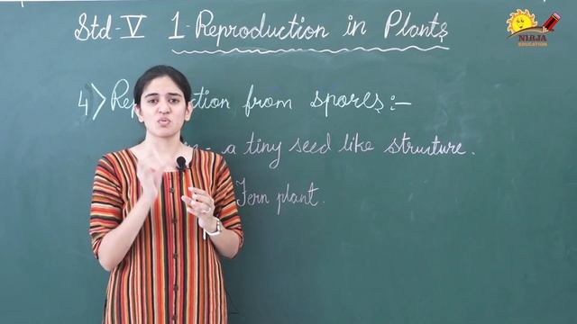 class 5 science chapter 1 - class 5 science chapter 1 - part 1