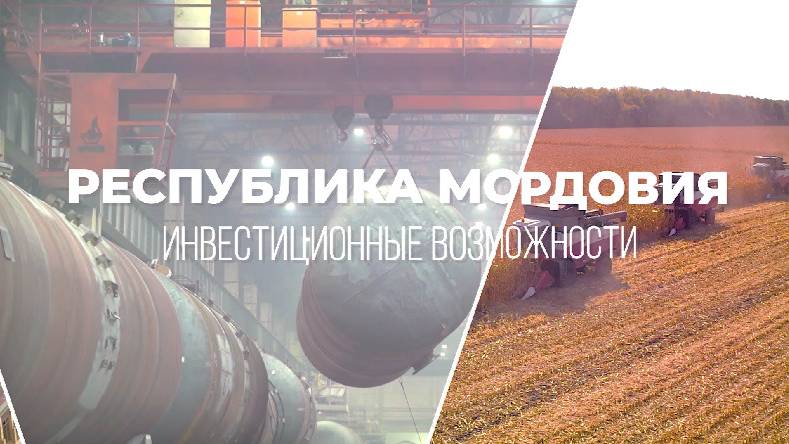 Инвестиционный потенциал Республики Мордовия