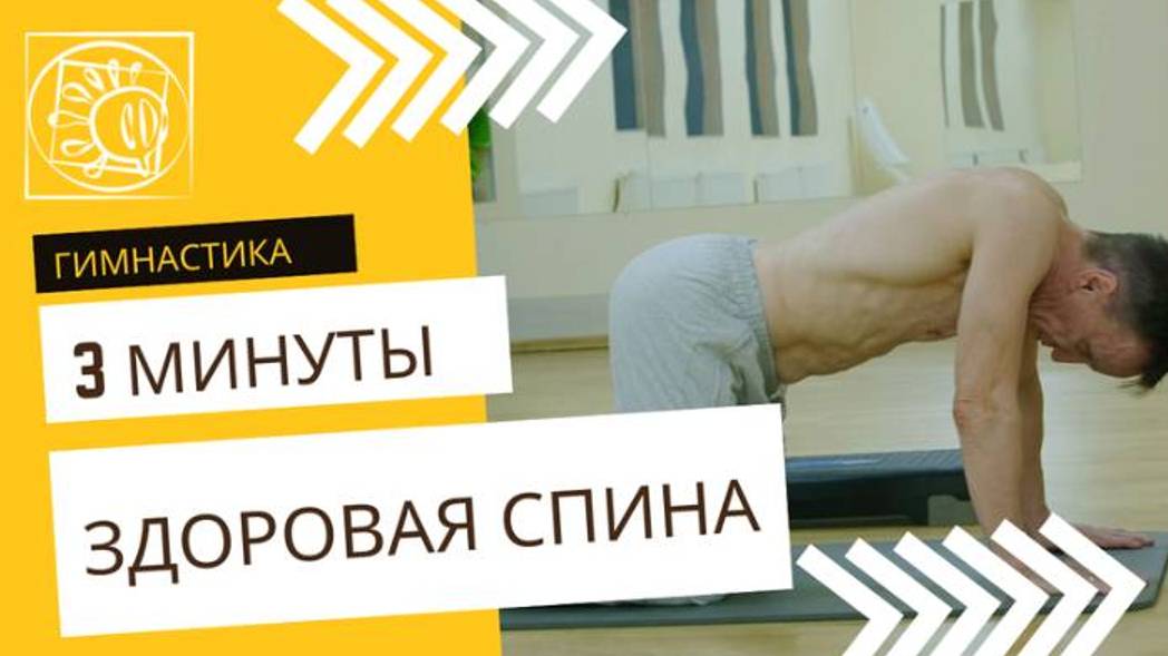 Здоровая спина. Упражнение "КОШКА" Методика Владимира Плетнева