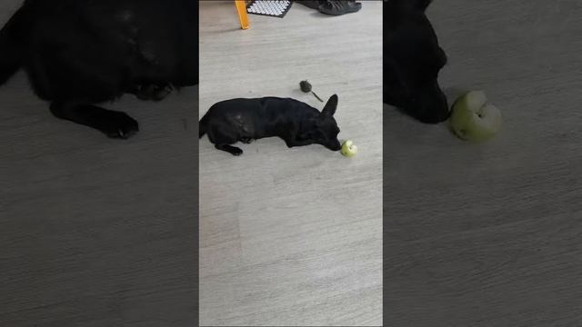 1000586666.mp4