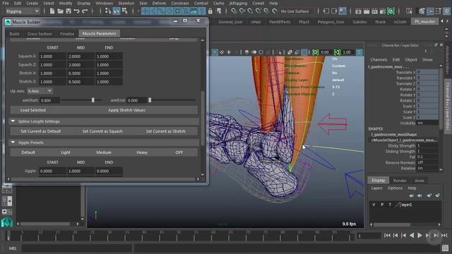 03 14 Finishing Gastrocnemius Muscles