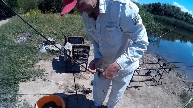 5 мягких насадок сделали всю рыбалку. Рыбалка на Ингулке Понятовка. Ловля карася в на фидер и донк