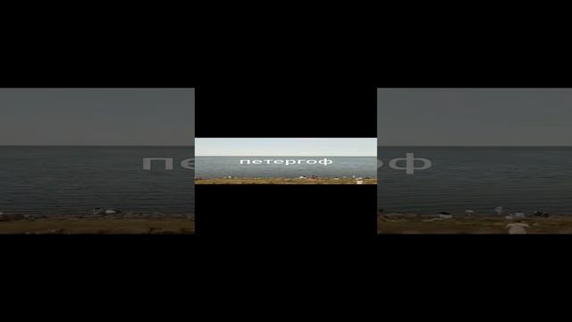 Вид на Финский залив.