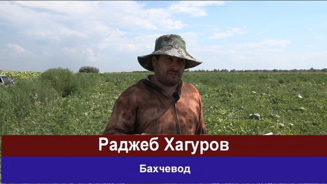 Бахчевод Раджеб Хагуров