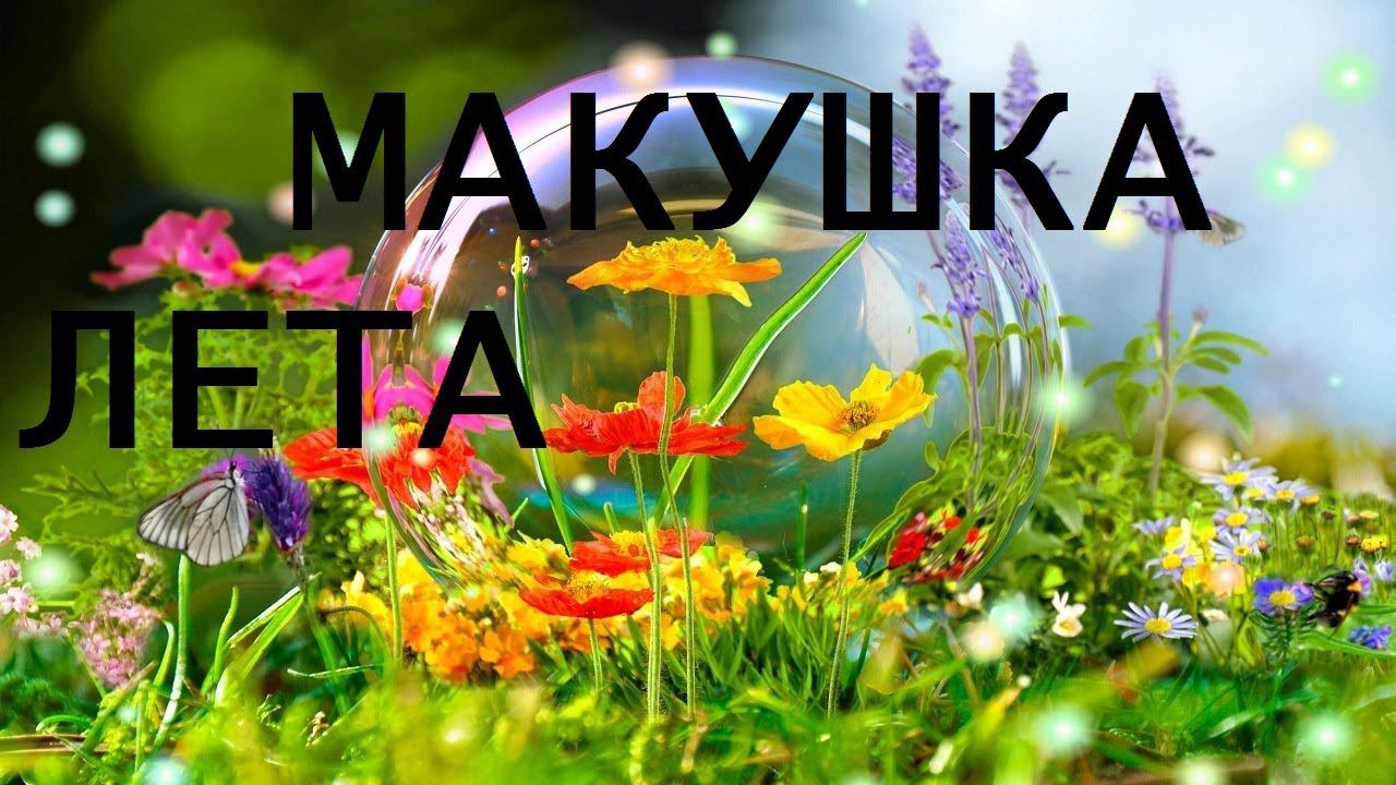 СТРЕЛЕЦ - ТАРО-ГОРОСКОП НА 2 ПОЛОВИНУ 2024 ГОДА