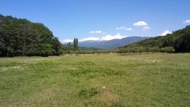 Горный КРЫМ. село Зелёное,  июнь 2018