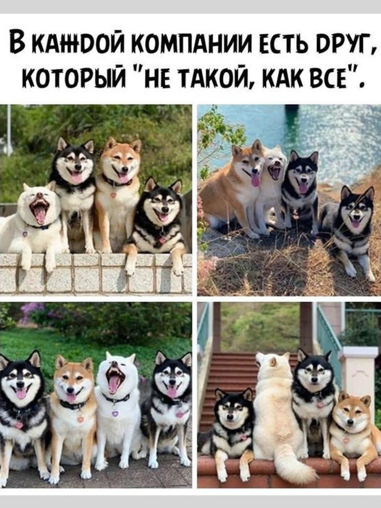 Утро