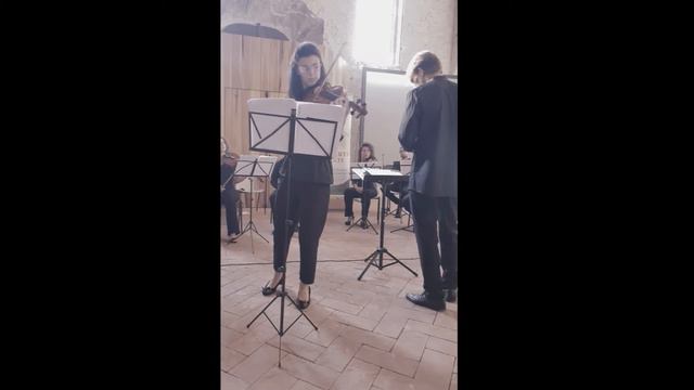 Johann Sebastian Bach: Concerto for two violins in D minor BWV 1043