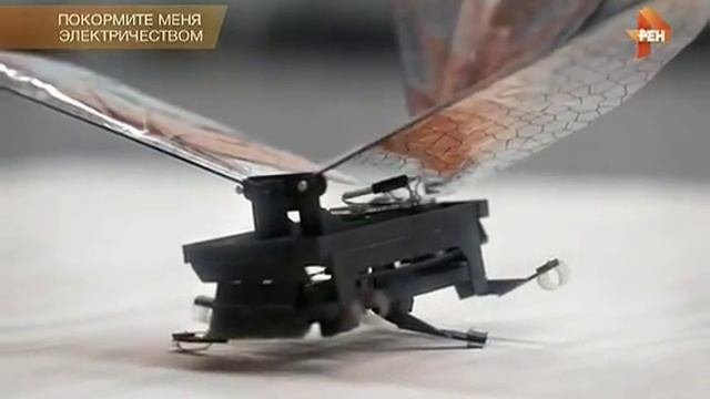 Китайцы начинают жениться на человекоподобных роботах. Человечество под угрозой. Док. фильм.