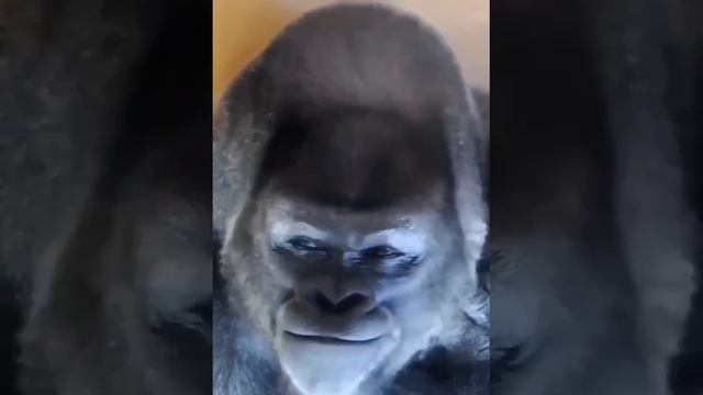 Жизнь удалась.mp4