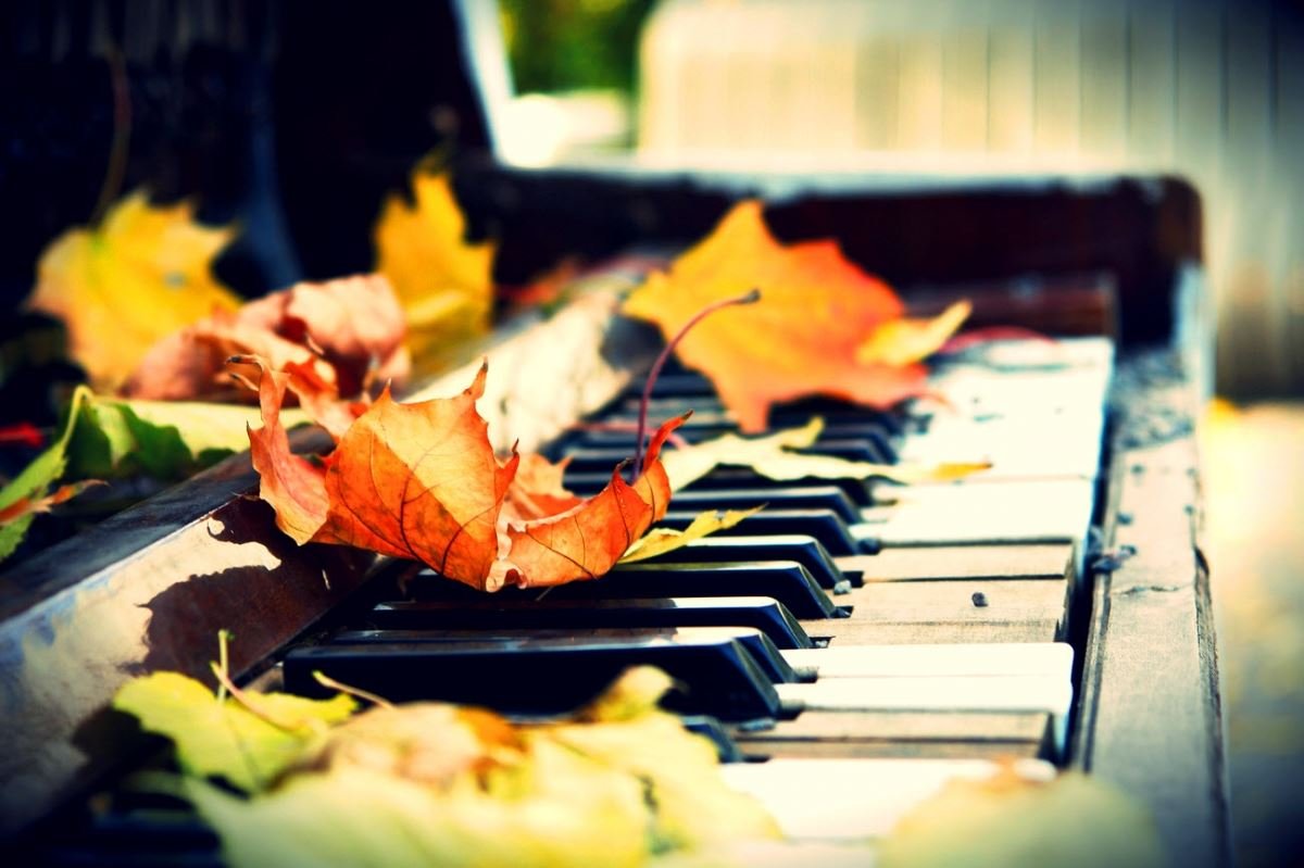 Пианино и листья