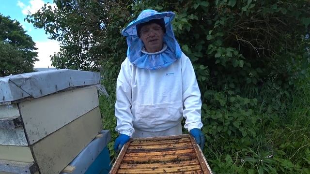 Спасаем Пчелосемьи, чтобы не Отрутовели.