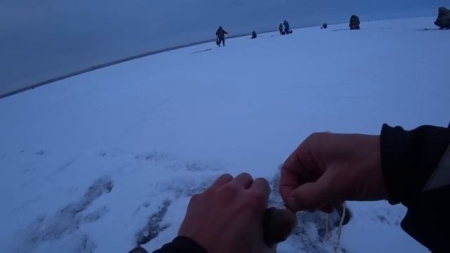 Тут ловят МЕШКАМИ... КРУПНЯК РВЁТ МОРМЫШКИ!!!! Зимняя рыбалка на крупного карася