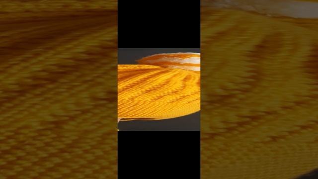 20231107_101117.mp4