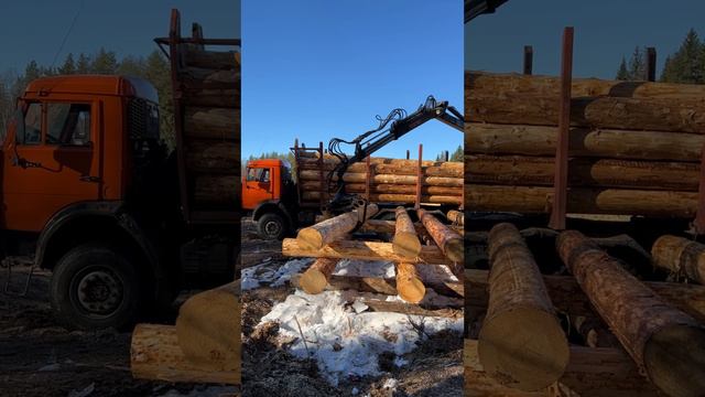 Окорка бревен и складирование древесины @s_les35
