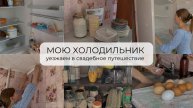 МОЮ ПУСТОЙ ХОЛОДИЛЬНИК | уезжаем в свадебное путешествие ?| мотивация на уборку