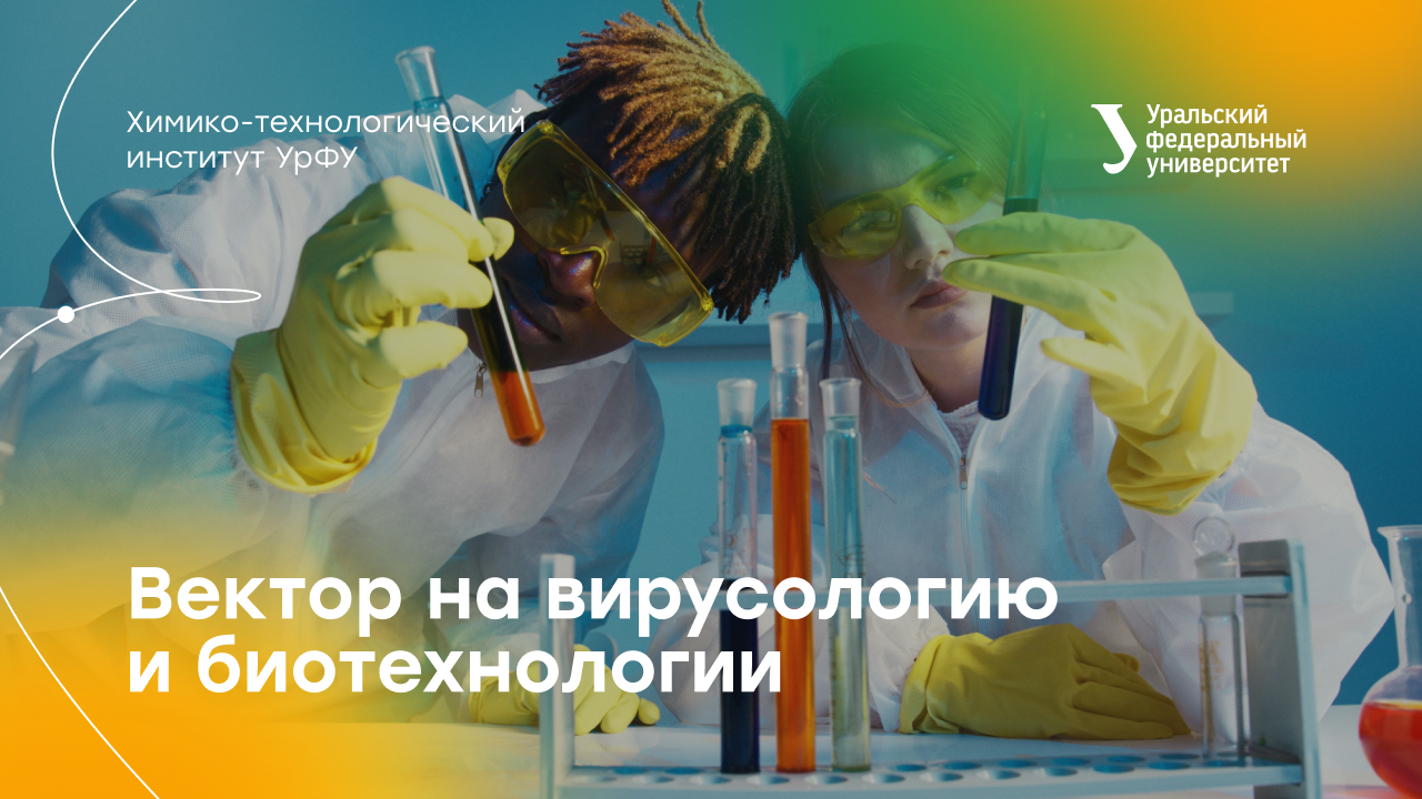 видеовстреча 