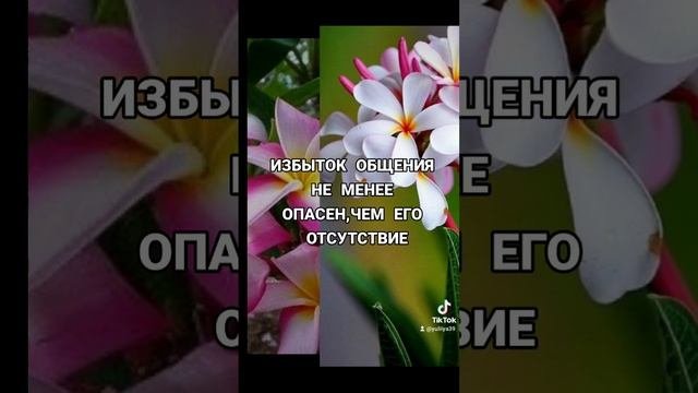 Музыкальная открытка