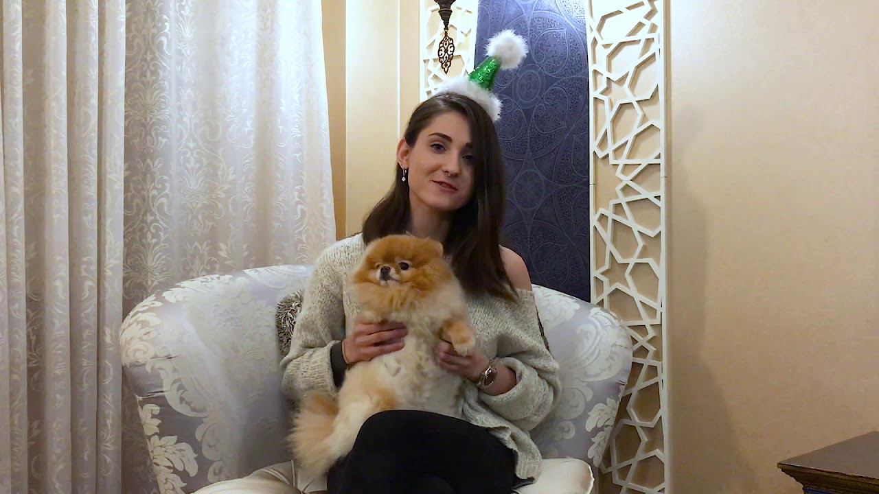 Екатерина, Москва | Конкурс новогодних видеопоздравлений