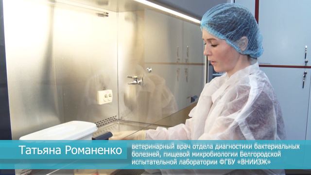 В Белгородской испытательной лаборатории проверили яйца на безопасность