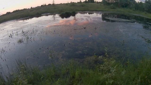 Самолету кирдык. Поиски радиоуправляемого самолета Chaser C-1.