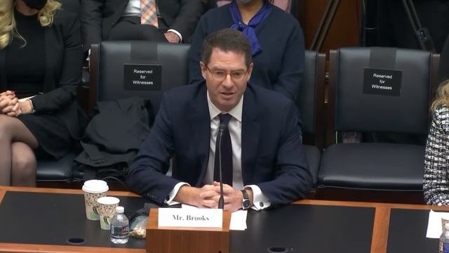 Watch Crypto expert explain the Blockchain to Congress