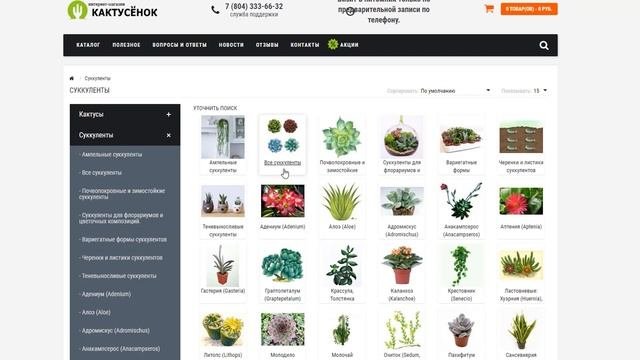 Видео экскурсия по сайту cactusenok.ru Как купить кактусы и суккуленты онлайн