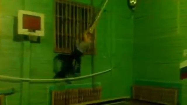 Опасные качели