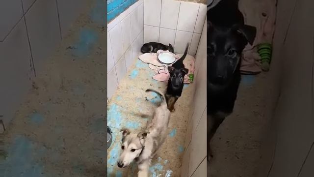 Не Будет Света Фото