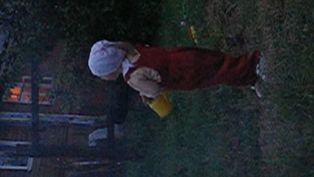2004_07_31 (v-1) Ялгино. Шашлыки