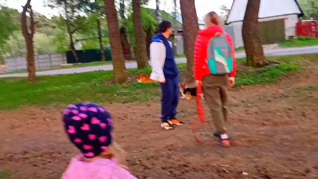 DOGVLOG-ПРОГУЛКА С КОРГИ КУПЕРОМ!/ЧЕЛОВЕЧЕХА ПОЗДНО ПОШЛА СО МНОЙ ГУЛЯТЬ!/Говорящие собаки