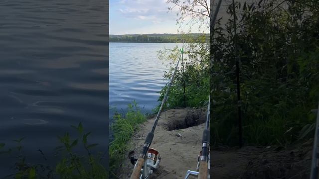 Рыбалка на сома