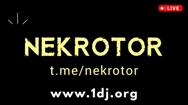 RADIO 1 DJ - диджейский электро хаус сет 2024 - NEKROTOR - electronic house music mix - радио диджей