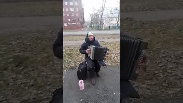 VID_20221211_155757_840.mp4