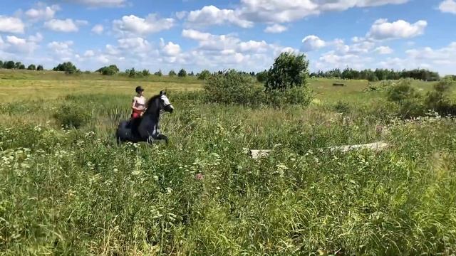 Гарсон кросс