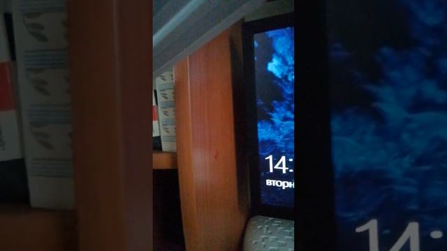 какие мне игры записывать на компе??